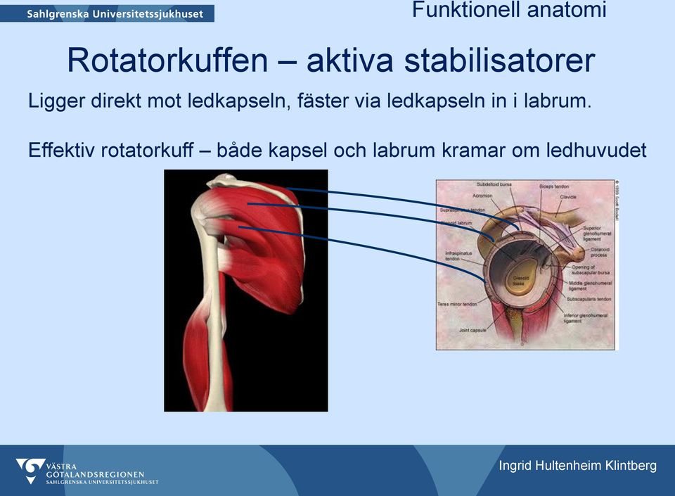 ledkapseln in i labrum.