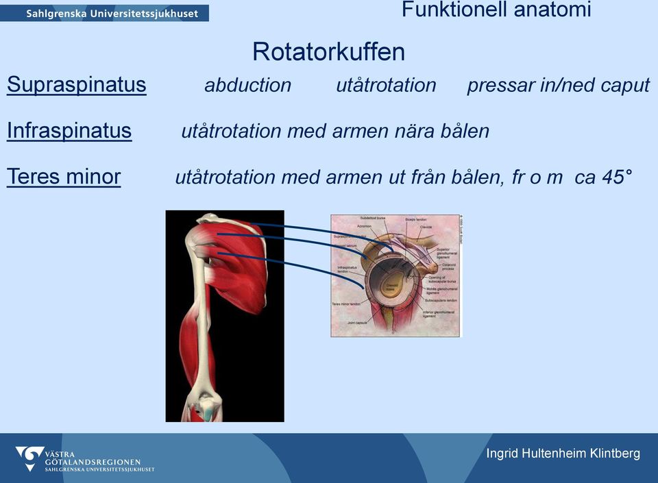 Infraspinatus utåtrotation med armen nära bålen