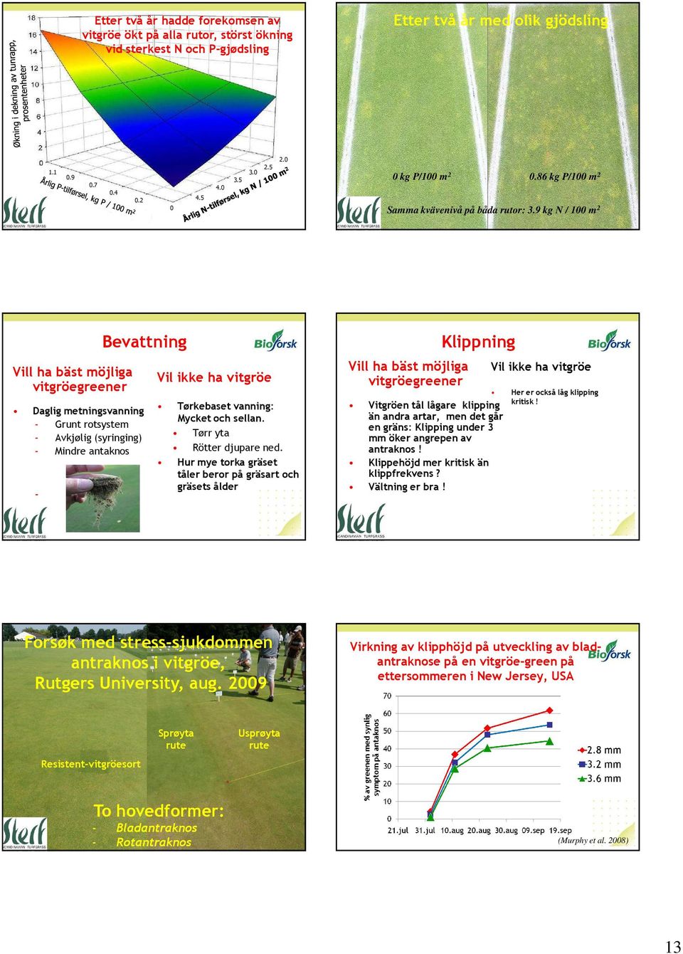 9 kg N / 100 m 2 Vill ha bäst möjliga vitgröegreener Bevattning Daglig metningsvanning - Grunt rotsystem - Avkjølig (syringing) - Mindre antaknos - Vil ikke ha vitgröe Tørkebaset vanning: Mycket och