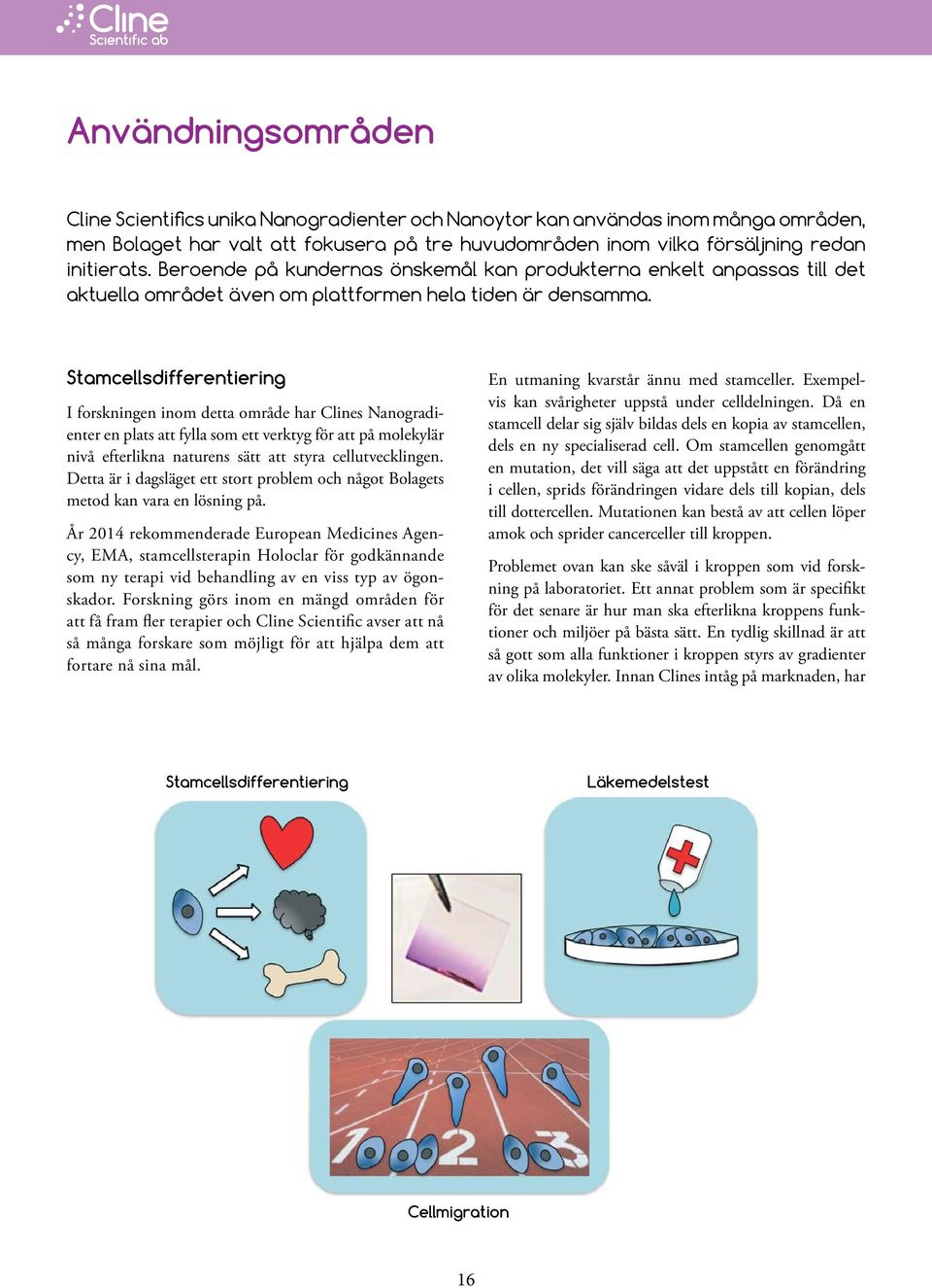 Stamcellsdifferentiering I forskningen inom detta område har Clines Nanogradienter en plats att fylla som ett verktyg för att på molekylär nivå efterlikna naturens sätt att styra cellutvecklingen.