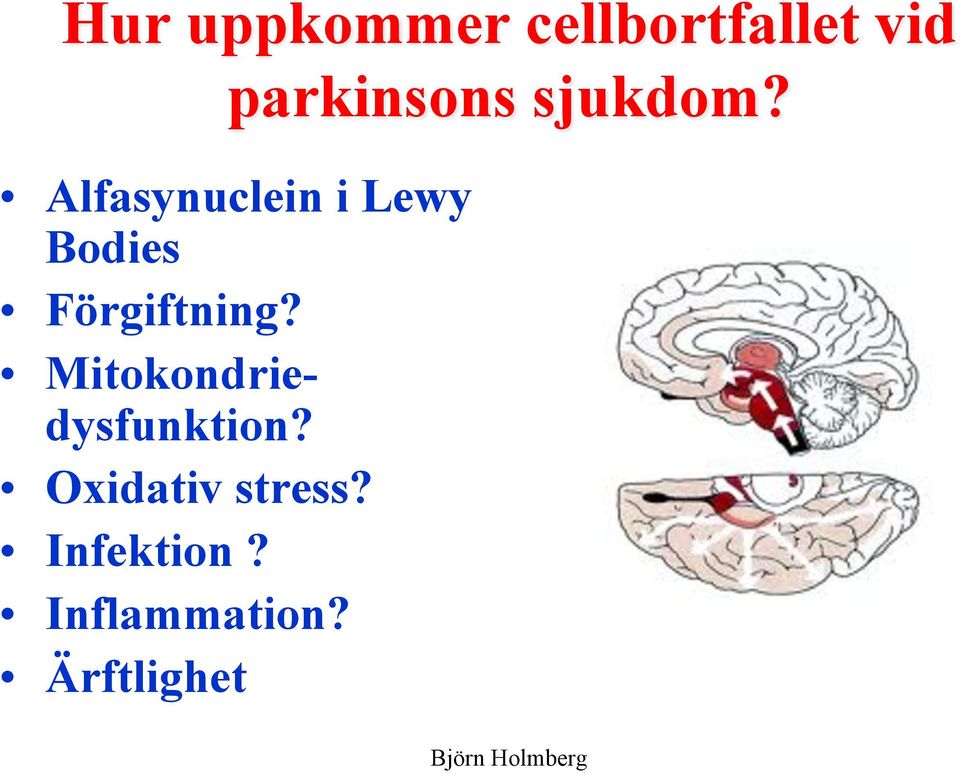 Alfasynuclein i Lewy Bodies Förgiftning?