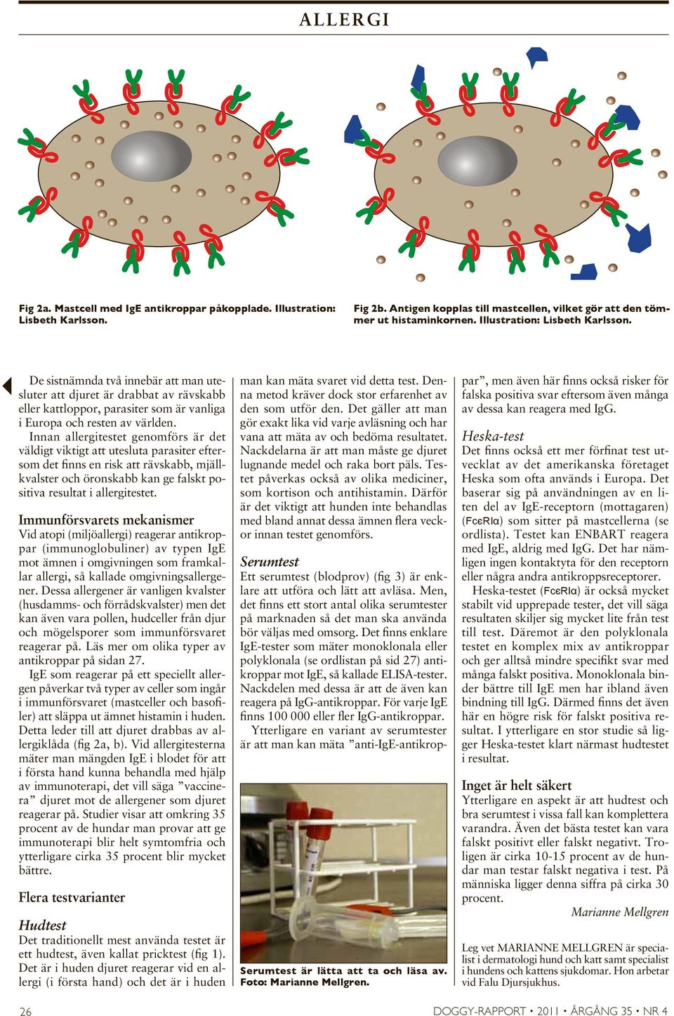 Innan allergitestet genomförs är det väldigt viktigt att utesluta parasiter eftersom det finns en risk att rävskabb, mjällkvalster och öronskabb kan ge falskt positiva resultat i allergitestet.