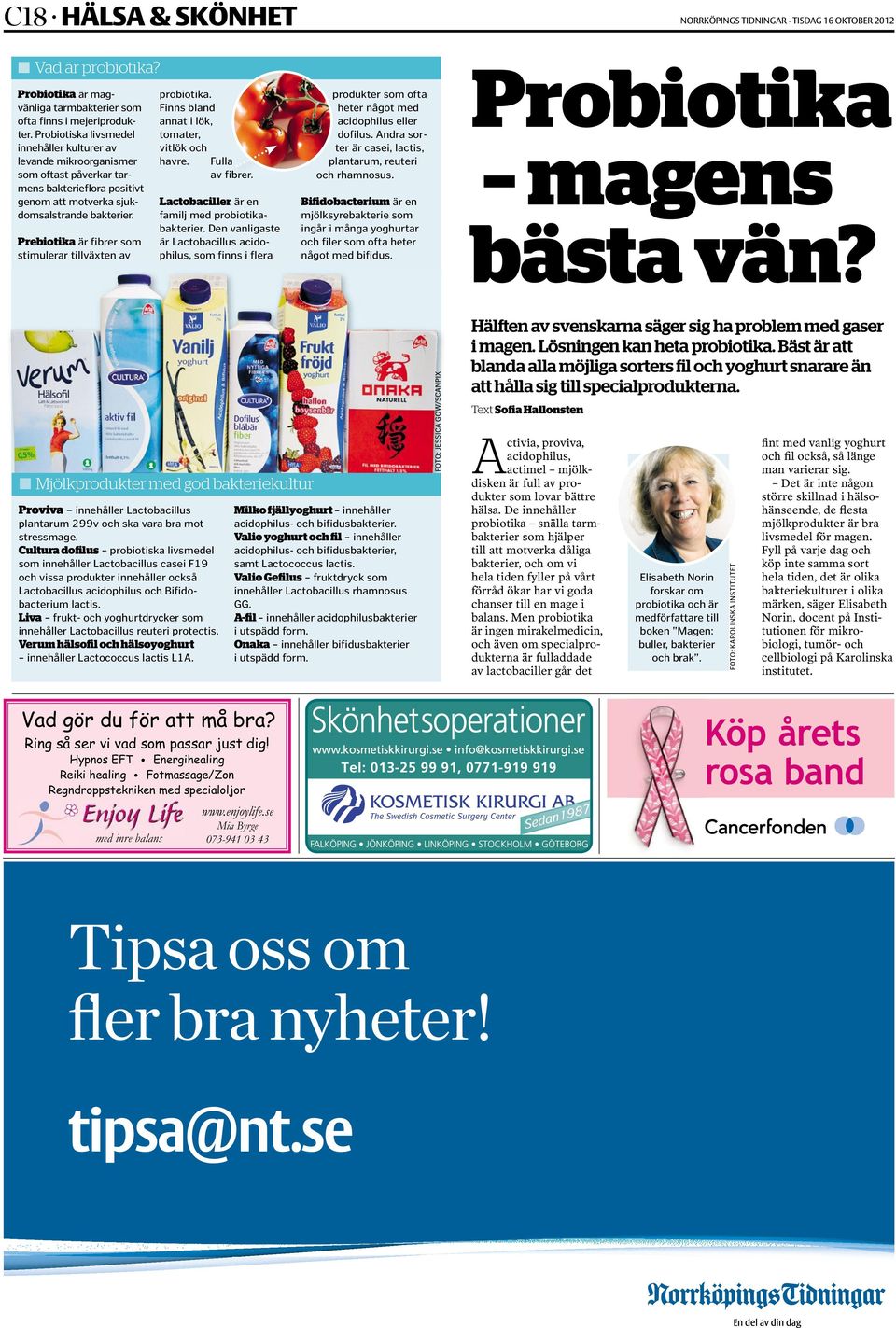 Prebiotika är fibrer som stimulerar tillväxten av probiotika. Finns bland annat i lök, tomater, vitlök och havre. Fulla av fibrer. Lactobaciller är en familj med probiotikabakterier.