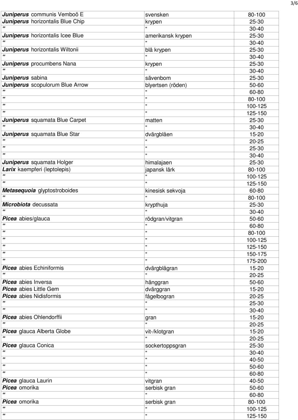 dvärgblåen 15-20 " " 20-25 " " 25-30 Juniperus squamata Holger himalajaen 25-30 Larix kaempferi (leptolepis) japansk lärk 80-100 Metasequoia glyptostroboides kinesisk sekvoja 60-80 Microbiota