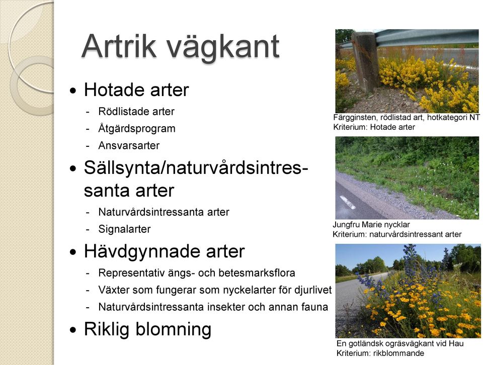 nycklar Kriterium: naturvårdsintressant arter - Representativ ängs- och betesmarksflora - Växter som fungerar som nyckelarter för