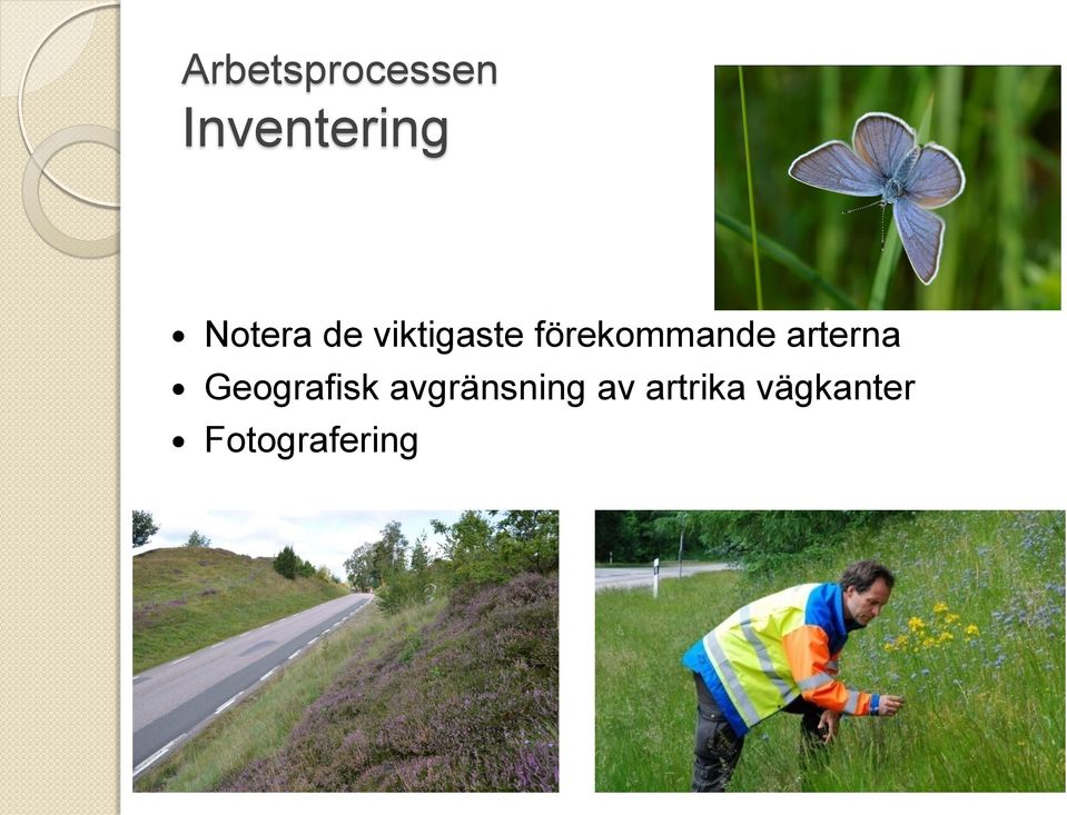 förekommande arterna Geografisk