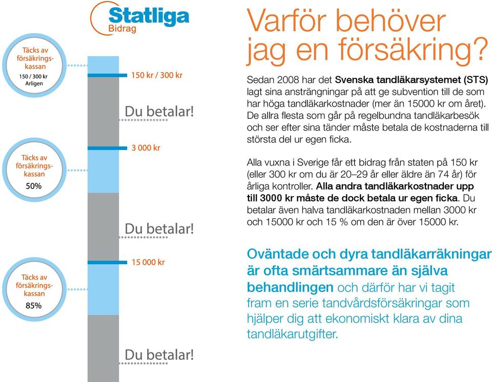 De allra flesta som går på regelbundna tandläkarbesök och ser efter sina tänder måste betala de kostnaderna till största del ur egen ficka.