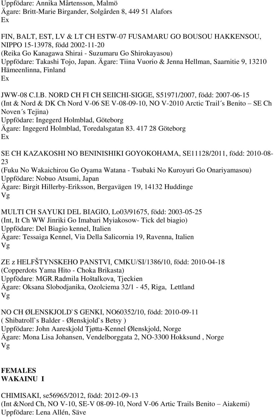 NORD CH FI CH SEIICHI-SIGGE, S51971/2007, född: 2007-06-15 (Int & Nord & DK Ch Nord V-06 SE V-08-09-10, NO V-2010 Arctic Trail s Benito SE Ch Noven s Tejina) Uppfödare: Ingegerd Holmblad, Göteborg