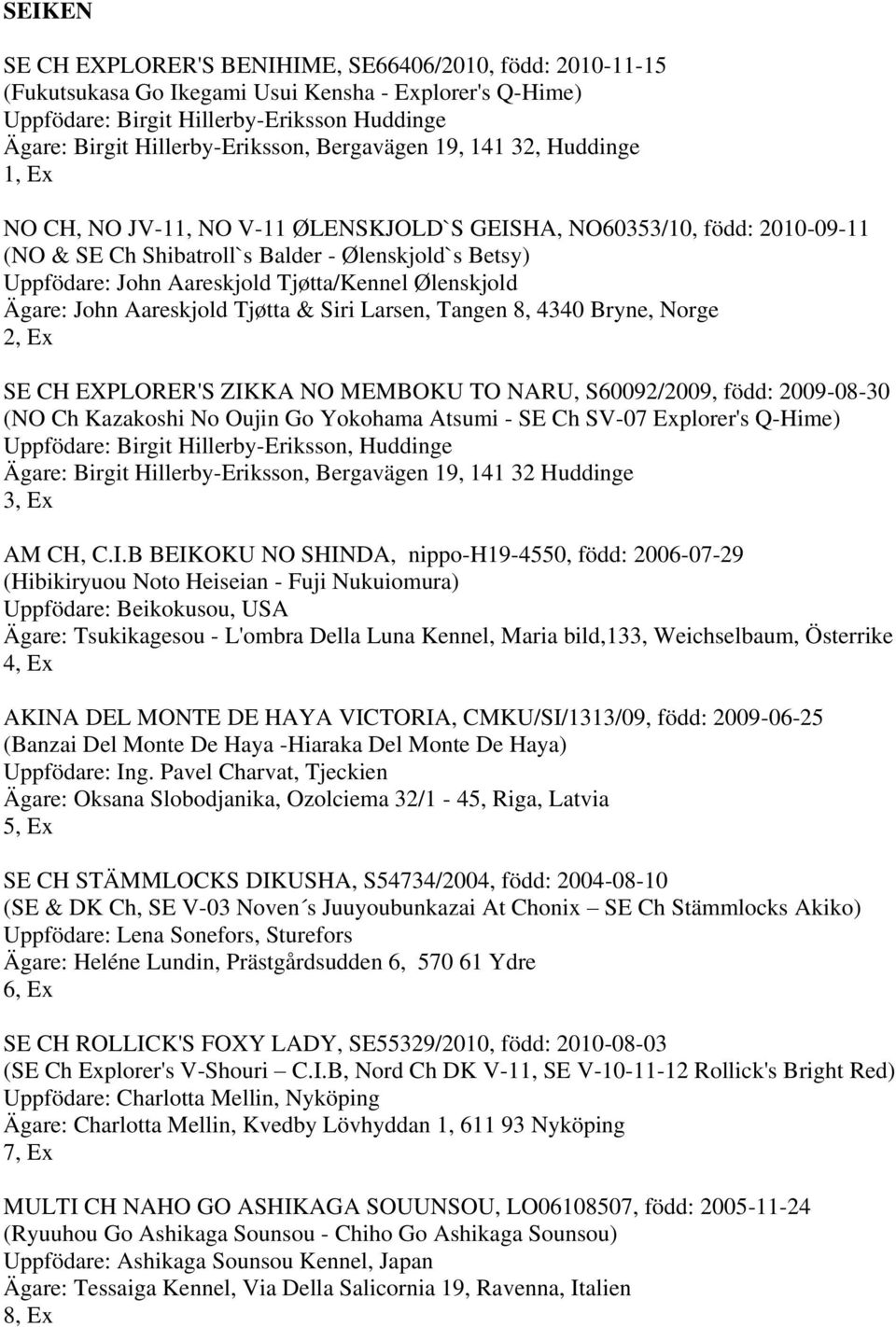 Tjøtta/Kennel Ølenskjold Ägare: John Aareskjold Tjøtta & Siri Larsen, Tangen 8, 4340 Bryne, Norge 2, SE CH EXPLORER'S ZIKKA NO MEMBOKU TO NARU, S60092/2009, född: 2009-08-30 (NO Ch Kazakoshi No Oujin