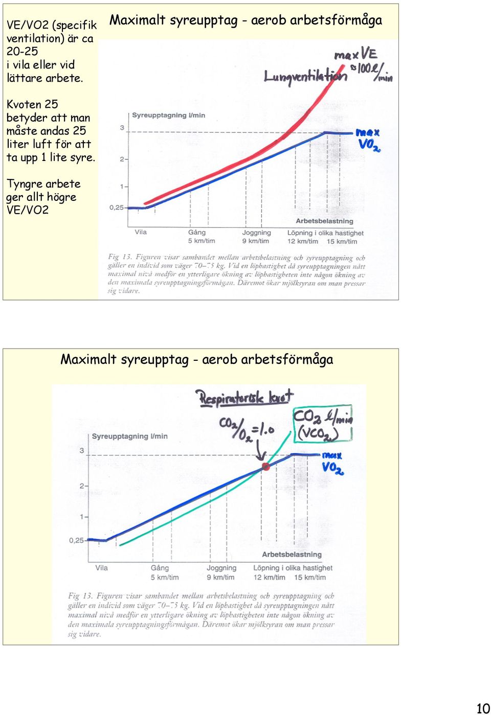 Maximalt syreupptag - aerob arbetsförmåga Kvoten 25 betyder att man