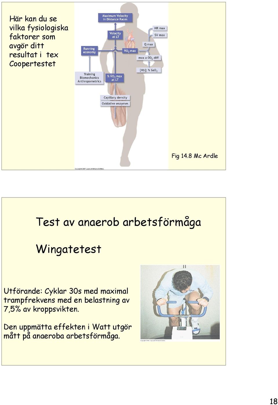 8 Mc Ardle Test av anaerob arbetsförmåga Wingatetest Utförande: Cyklar 30s