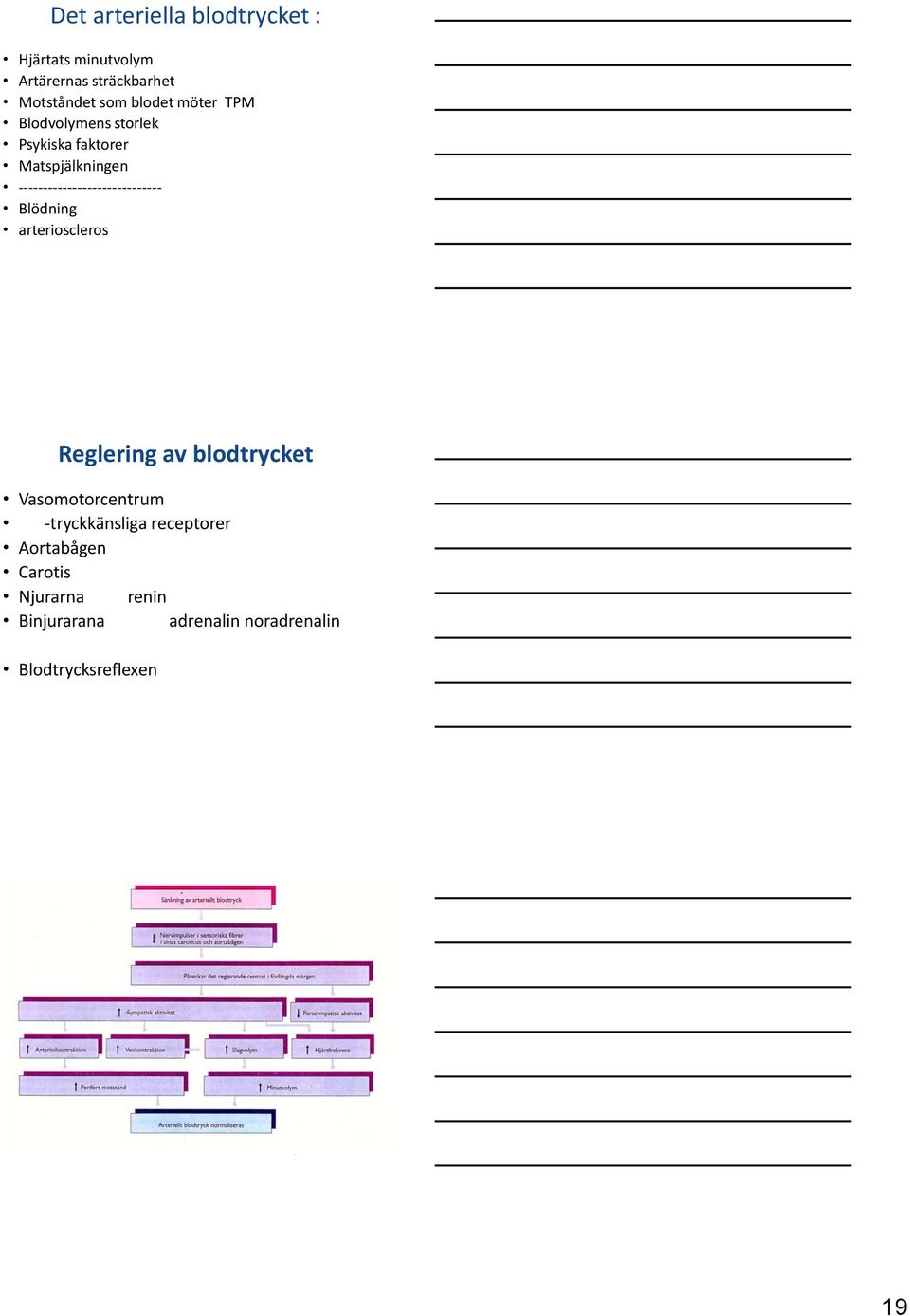 ----------------------------- Blödning arterioscleros Reglering av blodtrycket