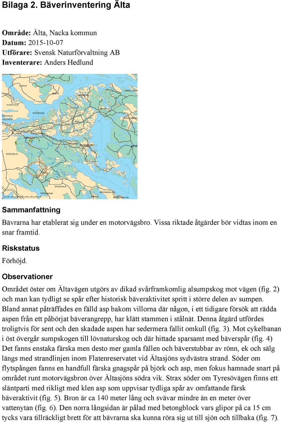 Vissa riktade åtgärder bör vidtas inom en snar framtid. Riskstatus Förhöjd. Observationer Området öster om Ältavägen utgörs av dikad svårframkomlig alsumpskog mot vägen (fig.