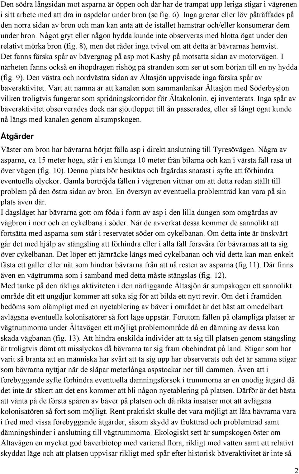 Något gryt eller någon hydda kunde inte observeras med blotta ögat under den relativt mörka bron (fig. 8), men det råder inga tvivel om att detta är bävrarnas hemvist.