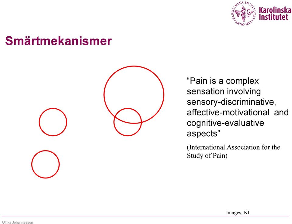 cognitive-evaluative aspects (International