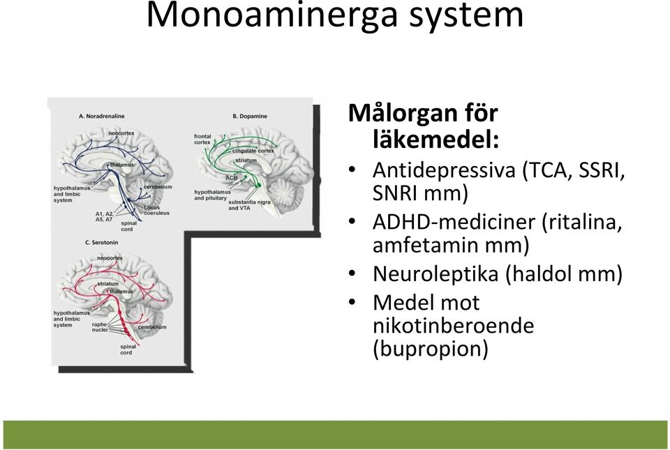 ADHD-mediciner (ritalina, amfetamin mm)