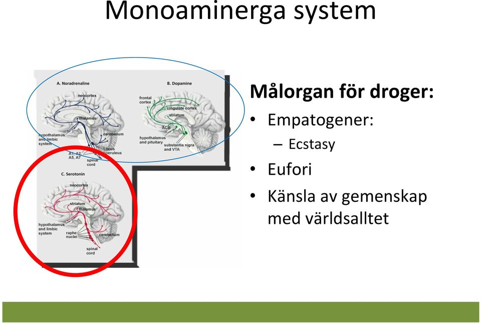 Empatogener: Ecstasy