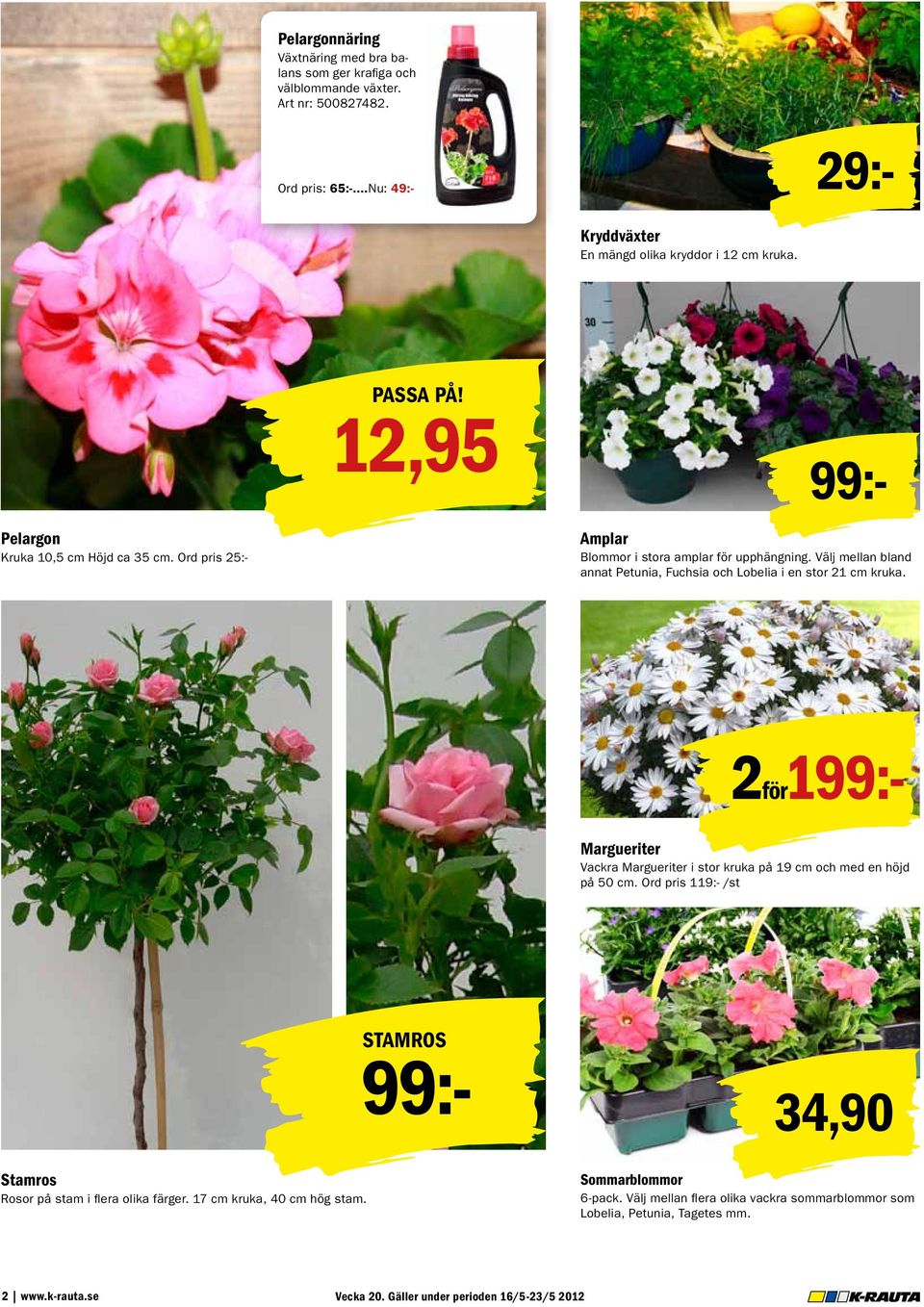 Välj mellan bland annat Petunia, Fuchsia och Lobelia i en stor 21 cm kruka. 99:- 2för199:- Margueriter Vackra Margueriter i stor kruka på 19 cm och med en höjd på 50 cm.