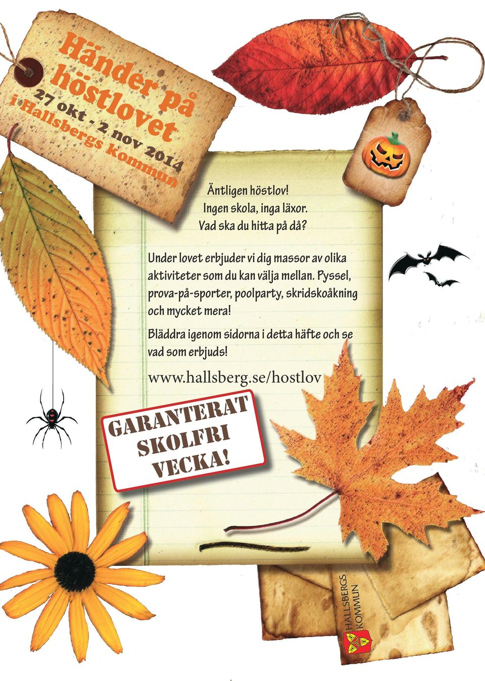 Under lovet erbjuder vi dig massor av olika aktiviteter som du kan välja mellan.