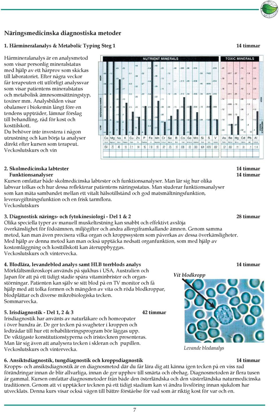 Efter några veckor får terapeuten ett utförligt analyssvar som visar patientens mineralstatus och metabolisk ämnesomsättningstyp, toxiner mm.