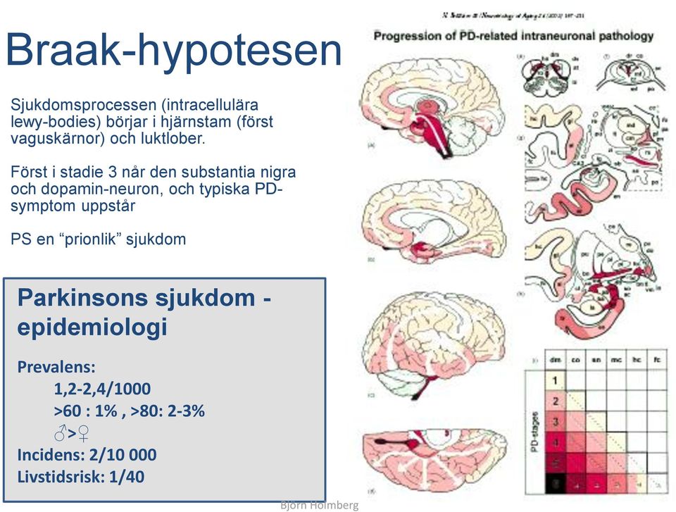 Först i stadie 3 når den substantia nigra och dopamin-neuron, och typiska PDsymptom