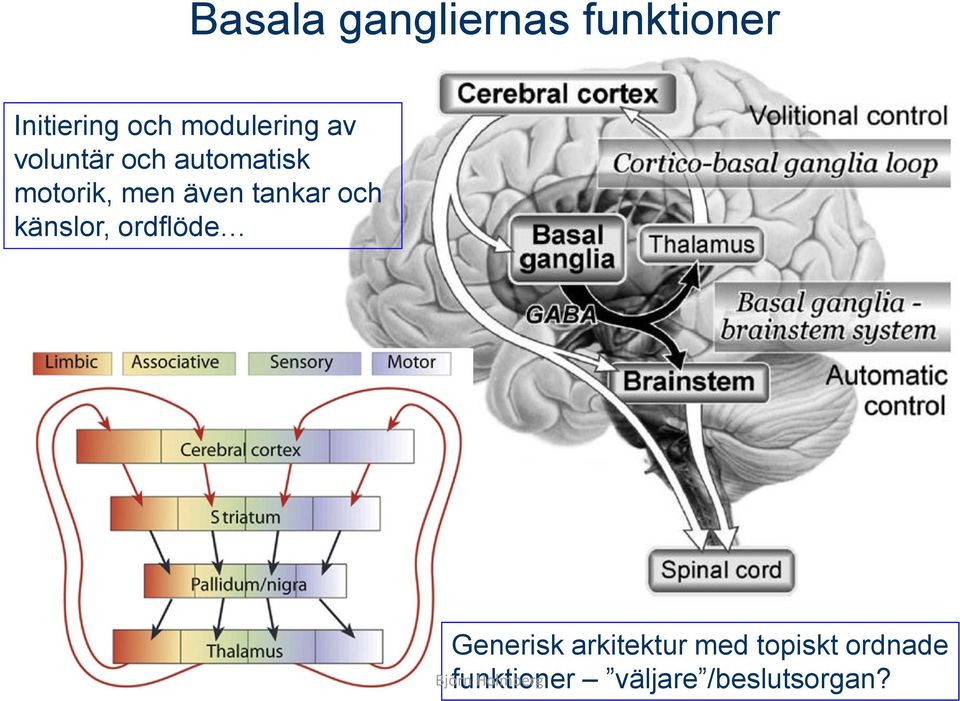 = Substantia Nigra VTO= Ventrala Tegmentumområdet DA= Dopaminbanorna Motorisk plan Samordning med kroppskontrollen Motoriskt