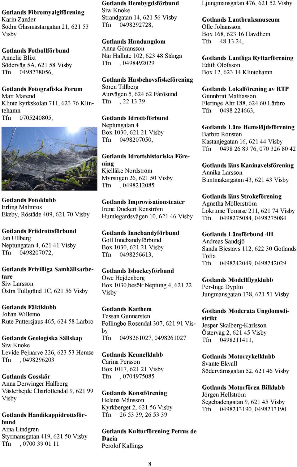 Frivilliga Samhällsarbetare Siw Larsson Östra Tullgränd 1C, 621 56 Gotlands Fäktklubb Johan Willemo Rute Puttersjaus 465, 624 58 Lärbro Gotlands Geologiska Sällskap Siw Knoke Levide Pejnarve 226, 623