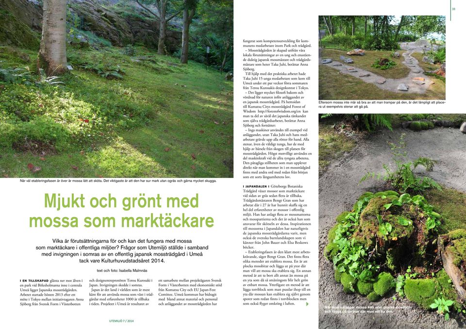 Frågor som Utemiljö ställde i samband med invigningen i somras av en offentlig japansk mossträdgård i Umeå tack vare Kulturhuvudstadsåret 2014.