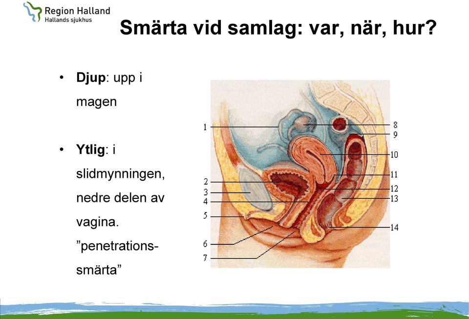 i slidmynningen, nedre delen