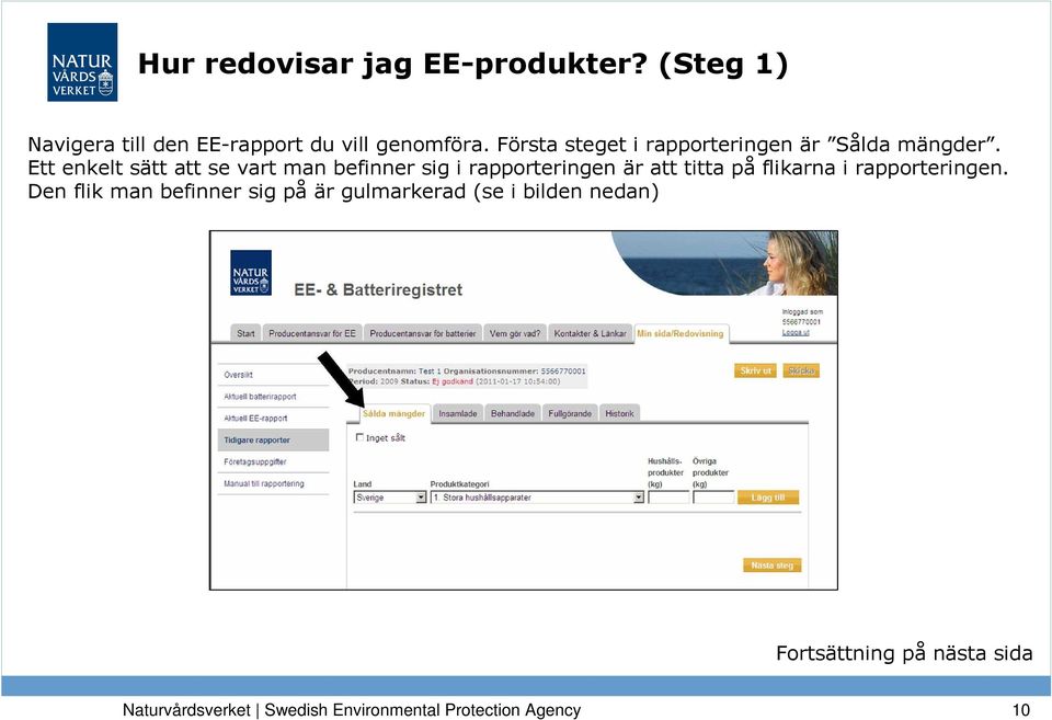 Ett enkelt sätt att se vart man befinner sig i rapporteringen är att titta på flikarna i