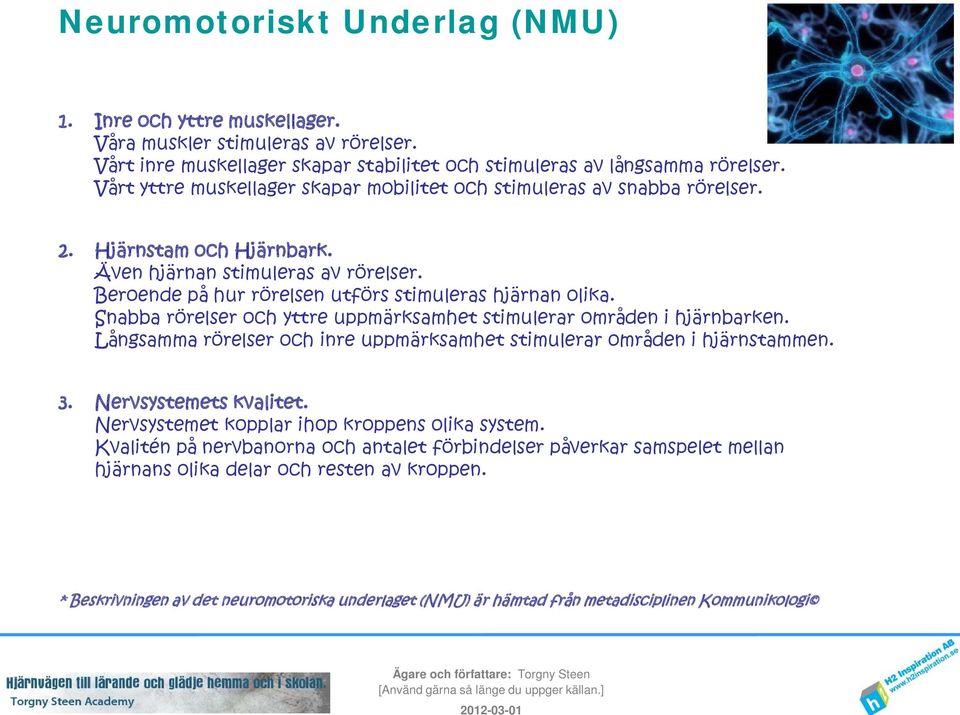 Snabba rörelser och yttre uppmärksamhet stimulerar områden i hjärnbarken. Långsamma rörelser och inre uppmärksamhet stimulerar områden i hjärnstammen. 3. Nervsystemets kvalitet.