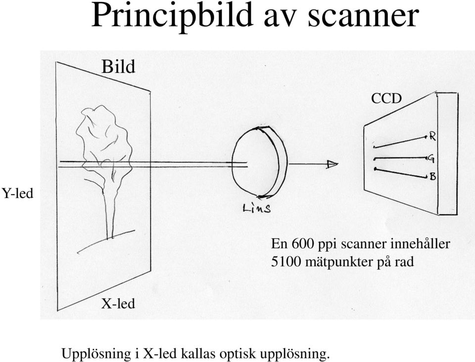 5100 mätpunkter på rad X-led