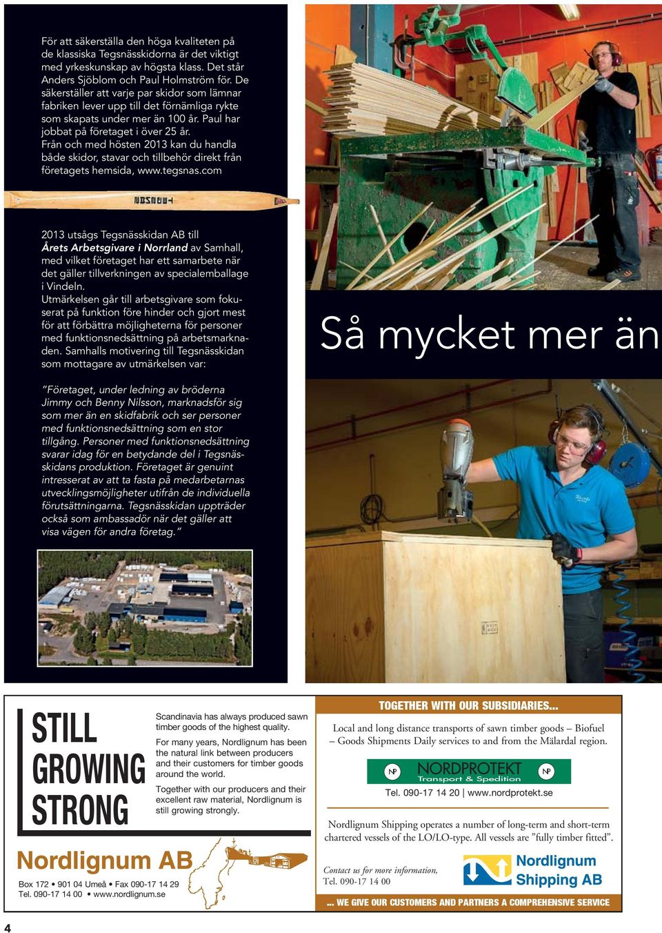 Från och med hösten 2013 kan du handla både skidor, stavar och tillbehör direkt från företagets hemsida, www.tegsnas.