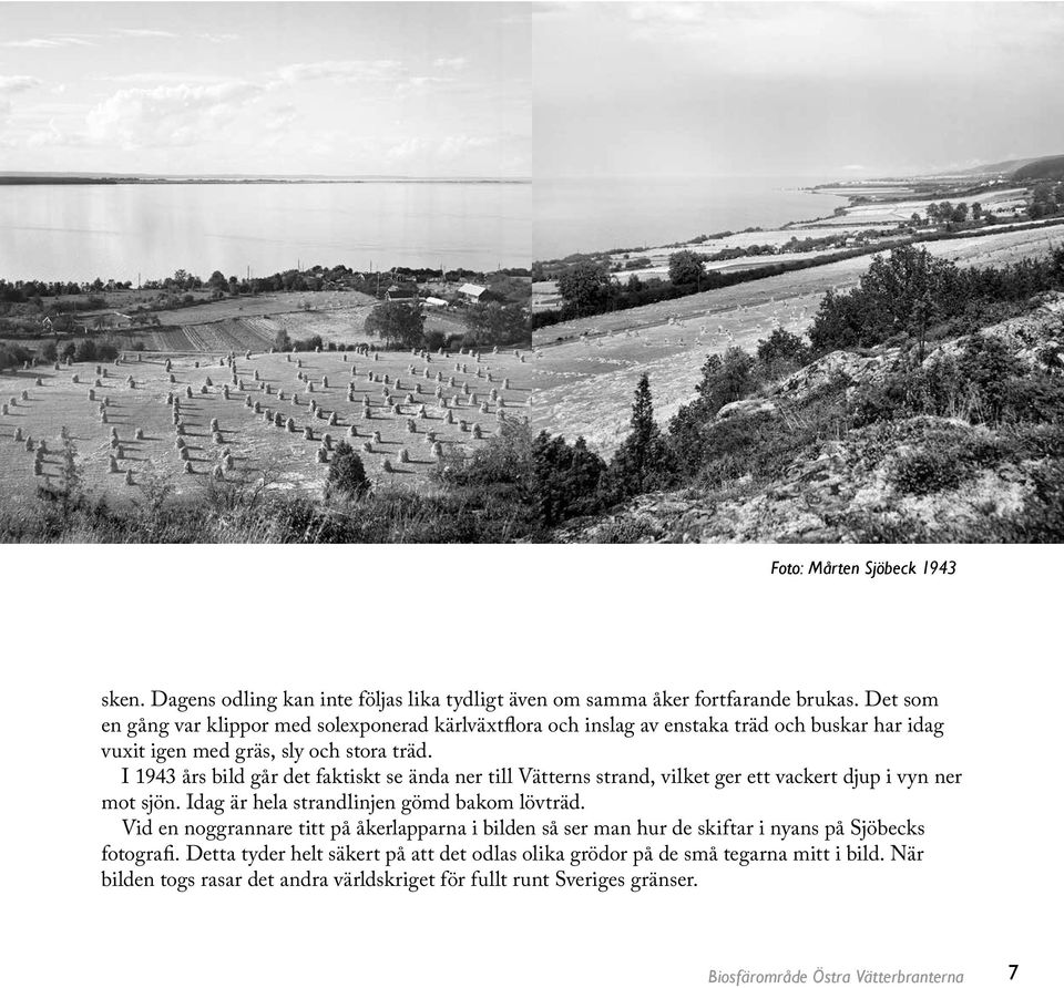 I 1943 års bild går det faktiskt se ända ner till Vätterns strand, vilket ger ett vackert djup i vyn ner mot sjön. Idag är hela strandlinjen gömd bakom lövträd.