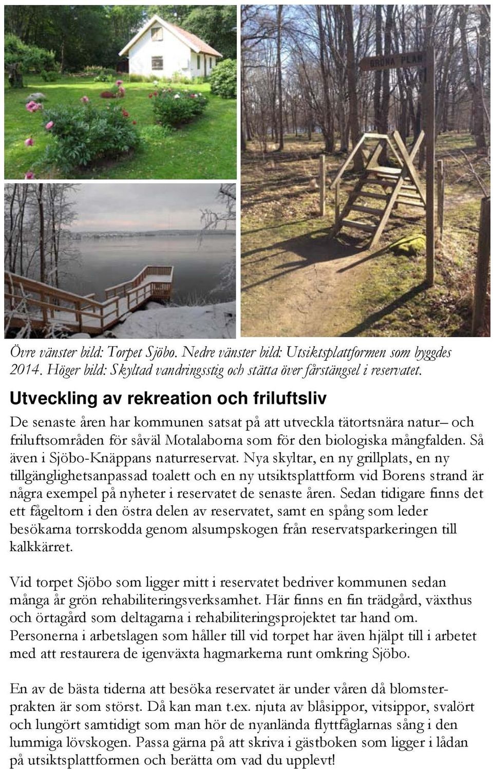 Så även i Sjöbo-Knäppans naturreservat.