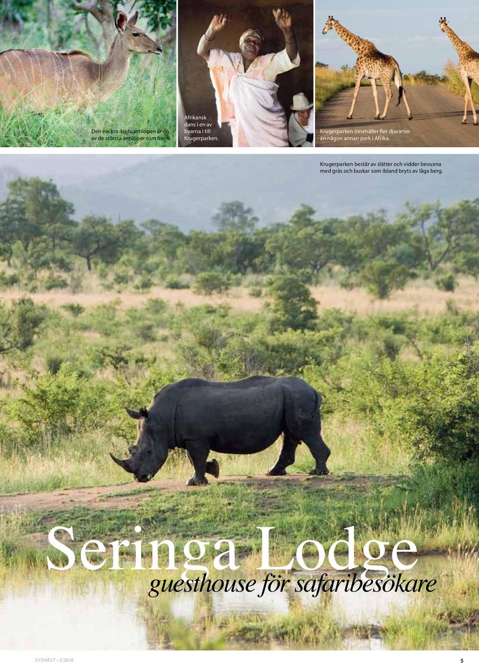 Krugerparken innehåller fler djurarter än någon annan park i Afrika.