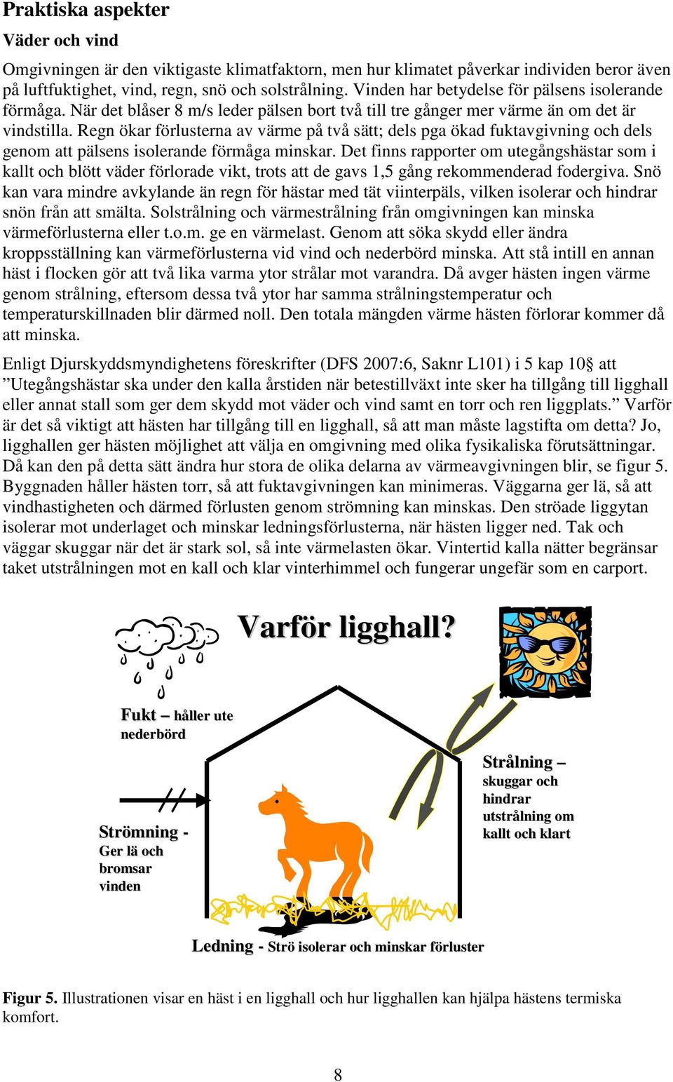 Regn ökar förlusterna av värme på två sätt; dels pga ökad fuktavgivning och dels genom att pälsens isolerande förmåga minskar.