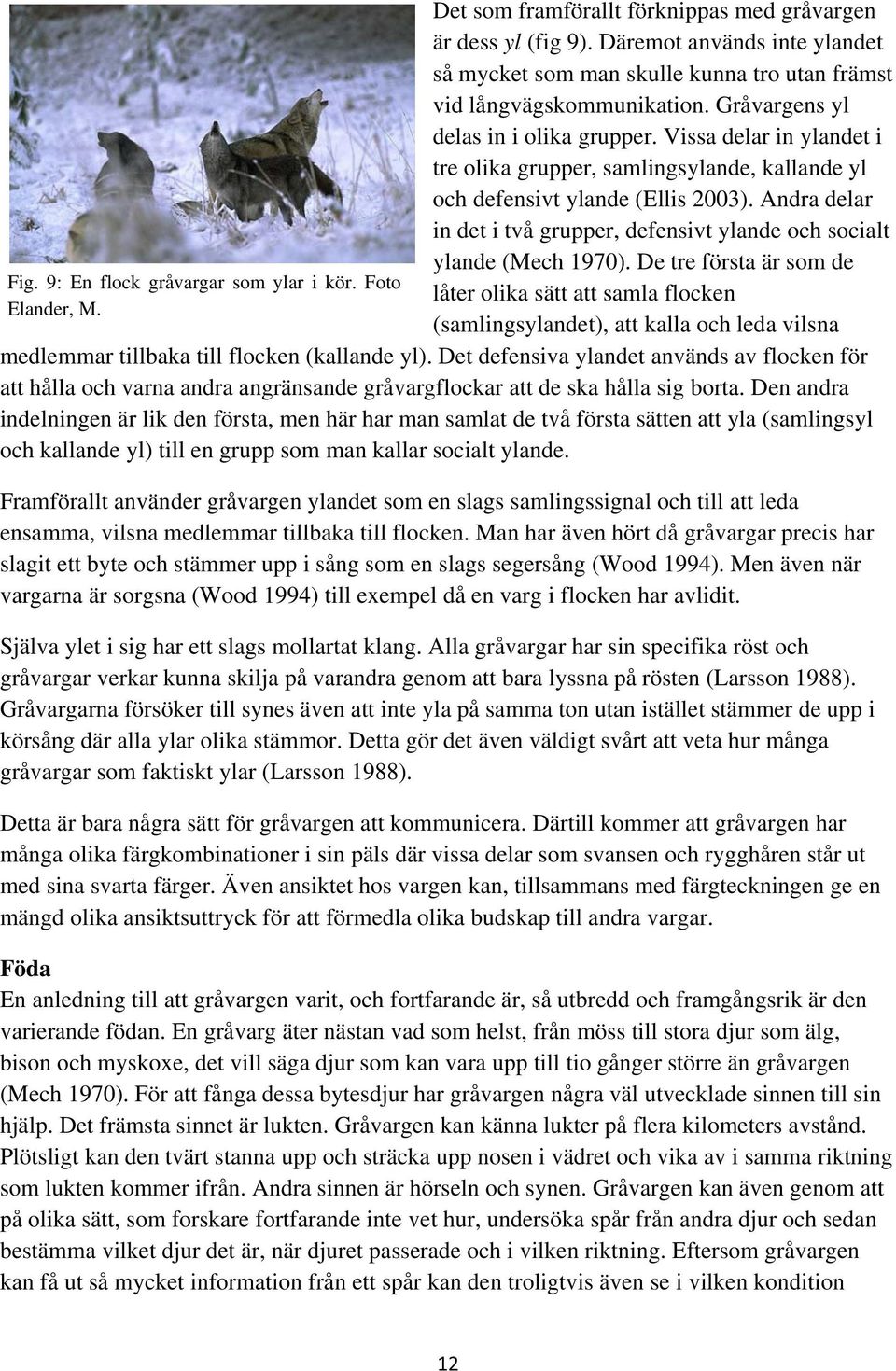 Vissa delar in ylandet i tre olika grupper, samlingsylande, kallande yl och defensivt ylande (Ellis 2003). Andra delar in det i två grupper, defensivt ylande och socialt ylande (Mech 1970).