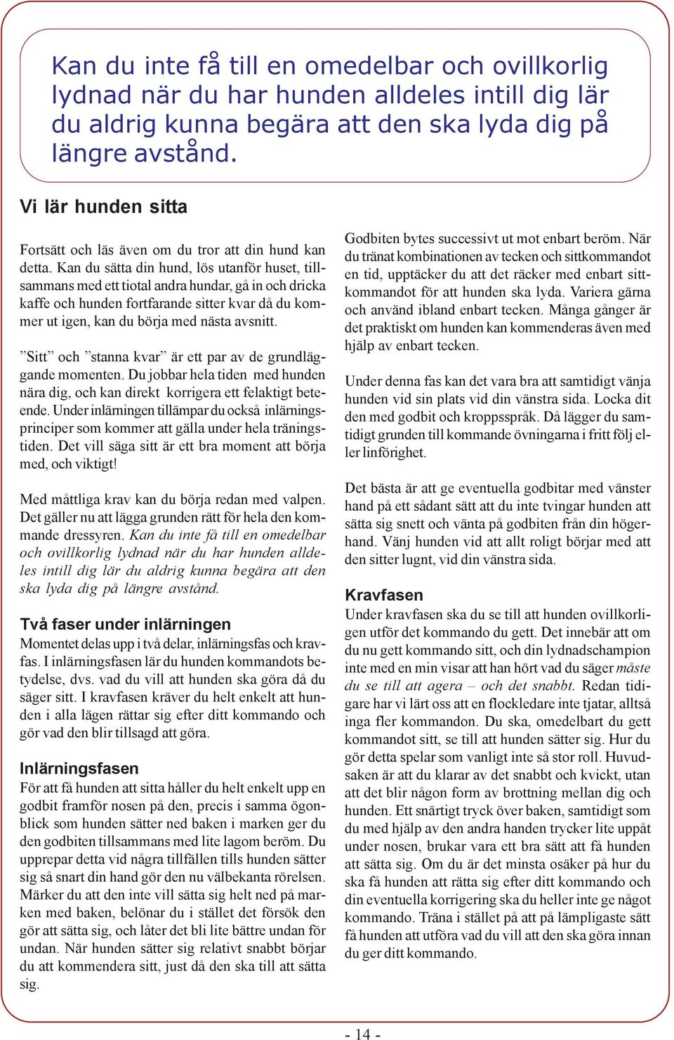 Kan du sätta din hund, lös utanför huset, tillsammans med ett tiotal andra hundar, gå in och dricka kaffe och hunden fortfarande sitter kvar då du kommer ut igen, kan du börja med nästa avsnitt.