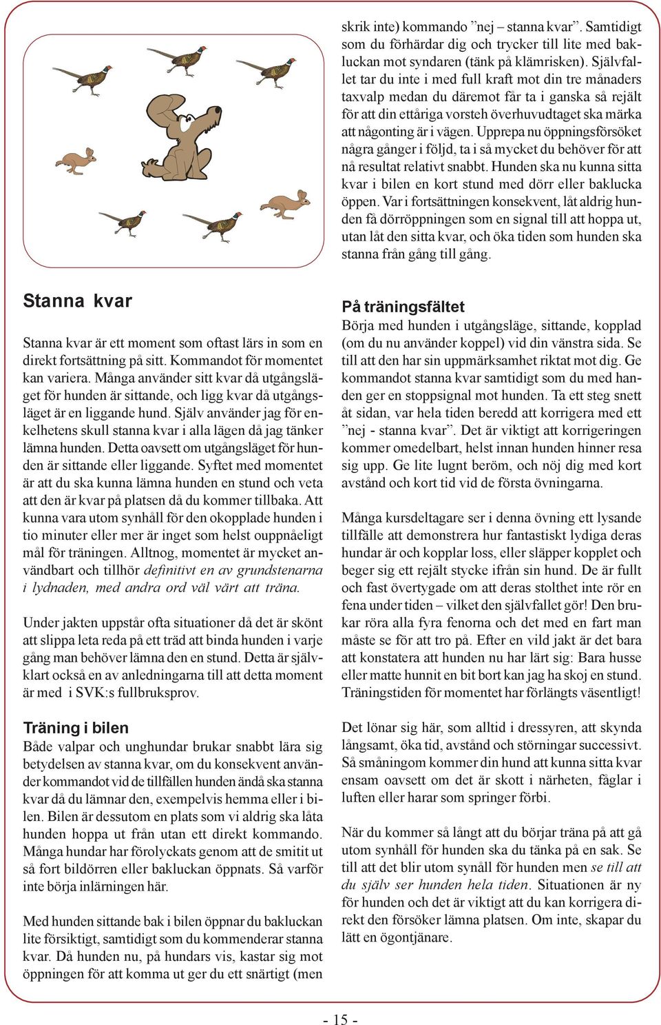 Upprepa nu öppningsförsöket några gånger i följd, ta i så mycket du behöver för att nå resultat relativt snabbt. Hunden ska nu kunna sitta kvar i bilen en kort stund med dörr eller baklucka öppen.