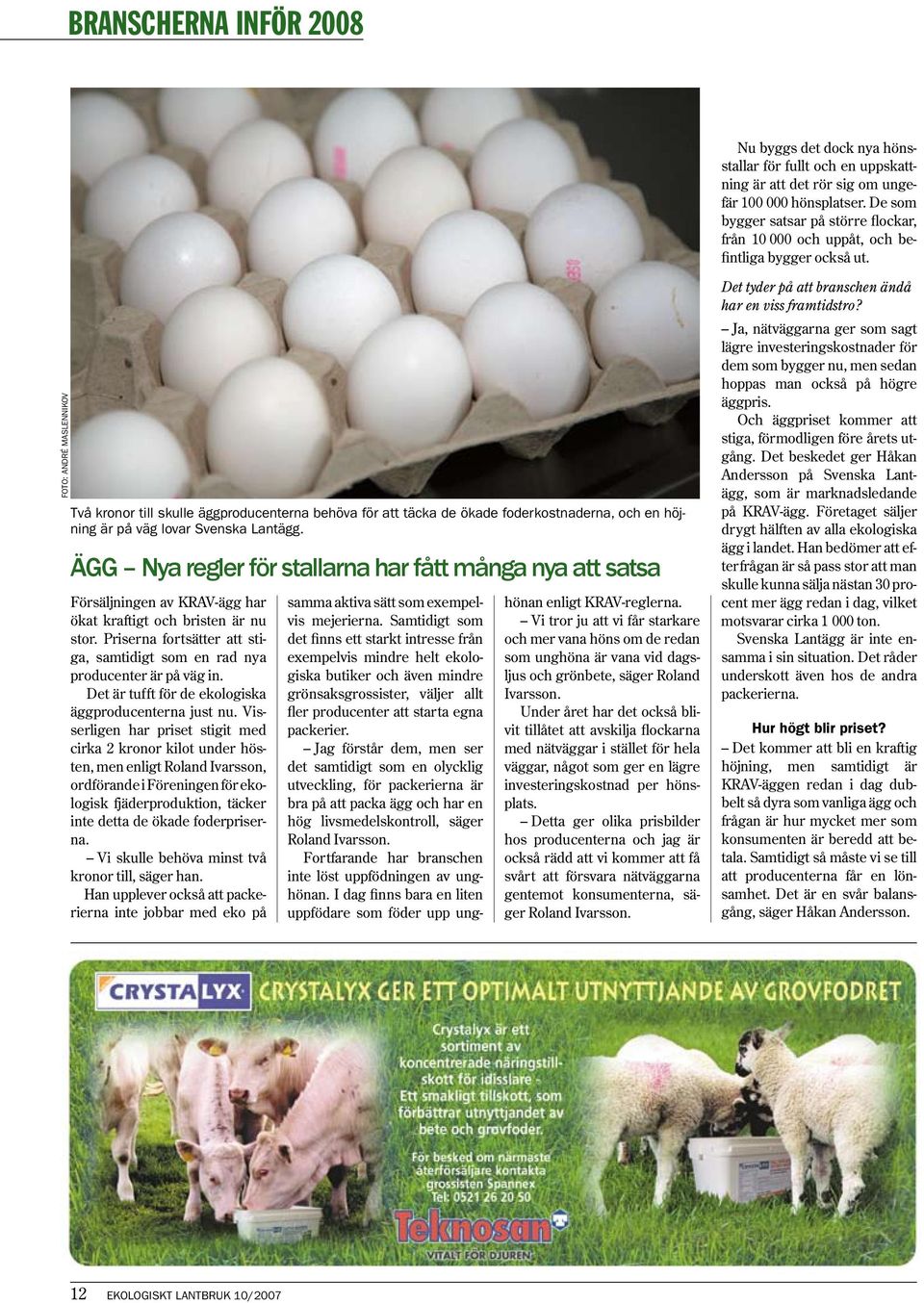 Två kronor till skulle äggproducenterna behöva för att täcka de ökade foderkostnaderna, och en höjning är på väg lovar Svenska Lantägg.