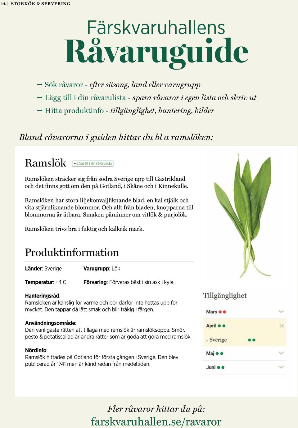 Skåne och i Kinnekulle. Ramslöken har stora liljekonvaljliknande blad, en kal stjälk och vita stjärnliknande blommor. Och allt från bladen, knopparna till blommorna är ätbara.