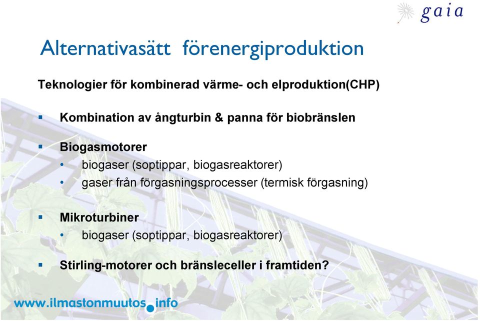 biogaser (soptippar, biogasreaktorer) gaser från förgasningsprocesser (termisk