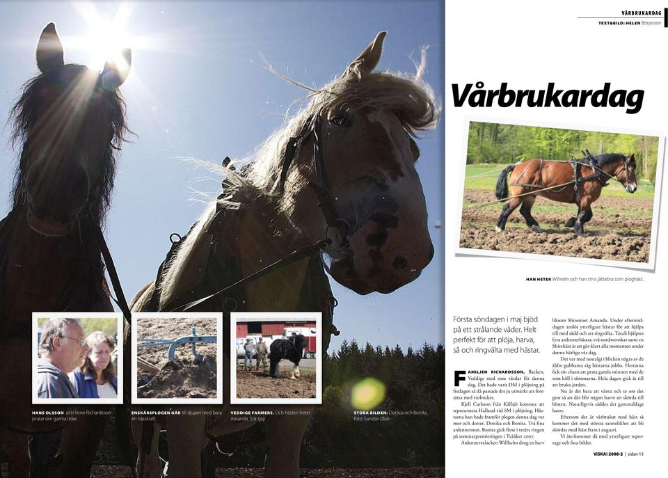 foto: Sandor Olah Första söndagen i maj bjöd på ett strålande väder. Helt perfekt för att plöja, harva, så och ringvälta med hästar.