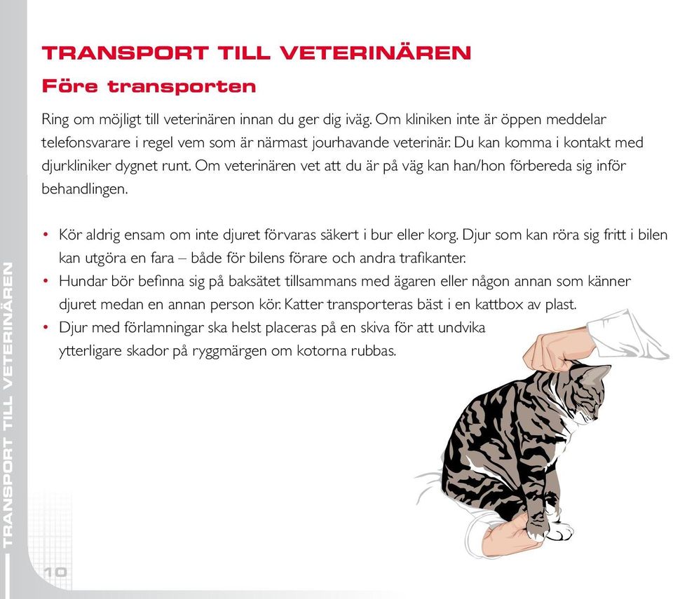 TRANSPORT TILL VETERINÄREN Kör aldrig ensam om inte djuret förvaras säkert i bur eller korg. Djur som kan röra sig fritt i bilen kan utgöra en fara både för bilens förare och andra trafikanter.