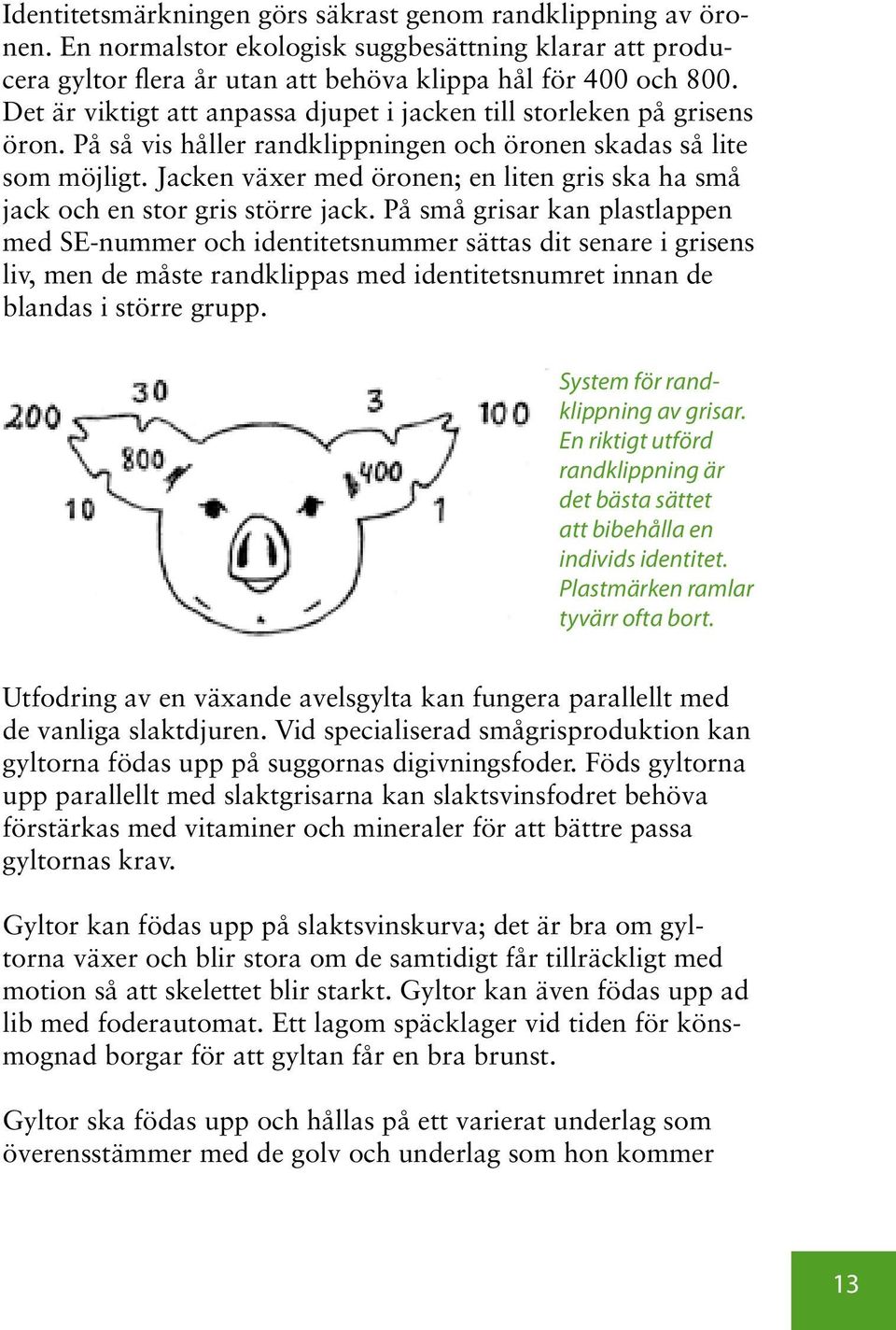 Jacken växer med öronen; en liten gris ska ha små jack och en stor gris större jack.