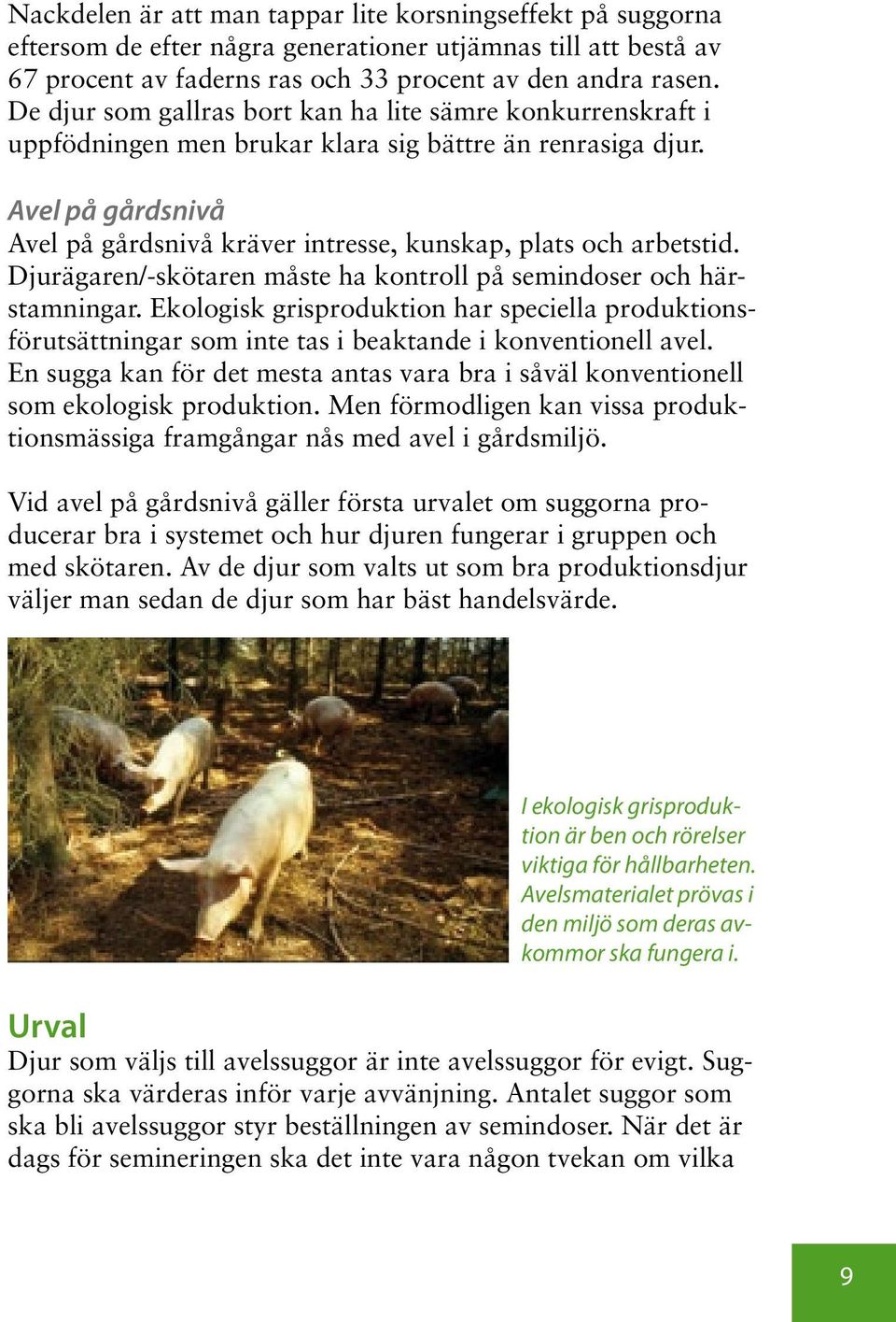 Avel på gårdsnivå Avel på gårdsnivå kräver intresse, kunskap, plats och arbetstid. Djurägaren/-skötaren måste ha kontroll på semindoser och härstamningar.