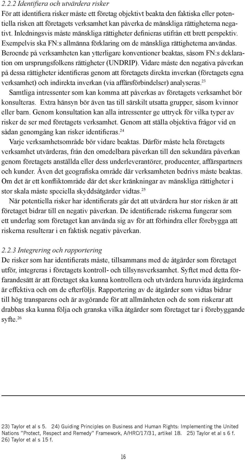 Beroende på verksamheten kan ytterligare konventioner beaktas, såsom FN:s deklaration om ursprungsfolkens rättigheter (UNDRIP).