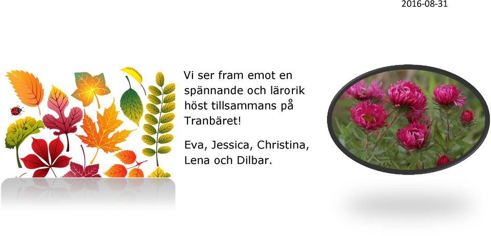 tillsammans på Tranbäret!