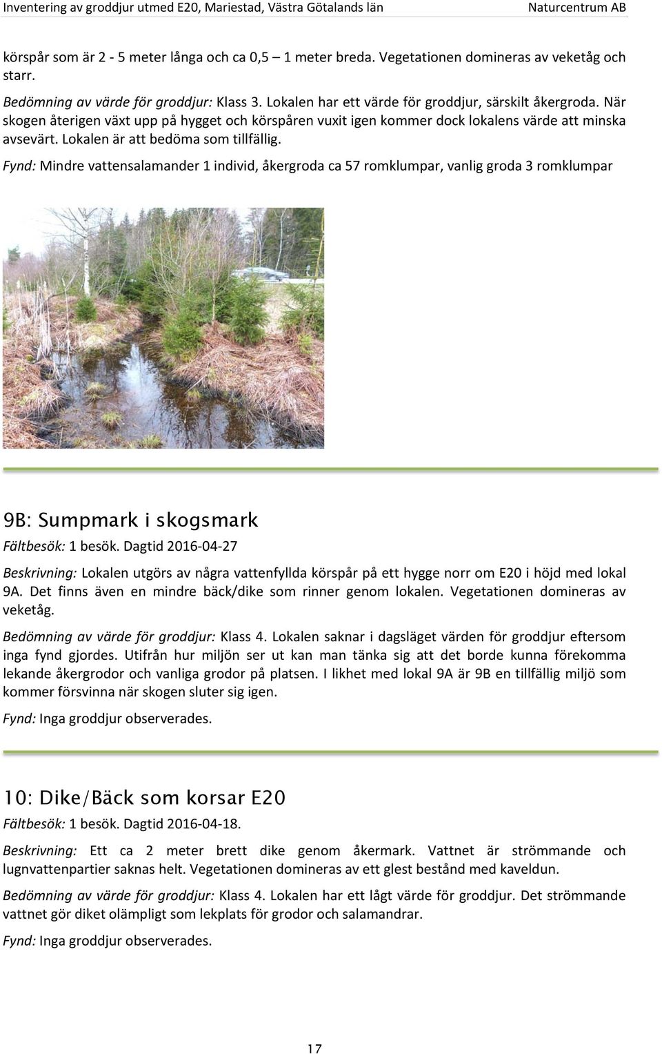 Fynd: Mindre vattensalamander 1 individ, åkergroda ca 57 romklumpar, vanlig groda 3 romklumpar 9B: Sumpmark i skogsmark Fältbesök: 1 besök.